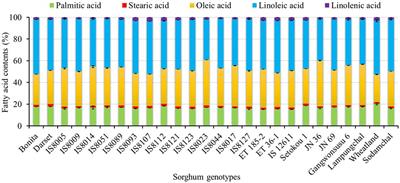 Exploring the potentials of sorghum genotypes: a comprehensive study on nutritional qualities, functional metabolites, and antioxidant capacities